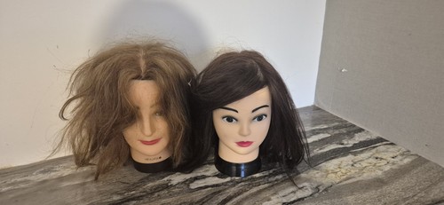 Training head hairdressing - training,